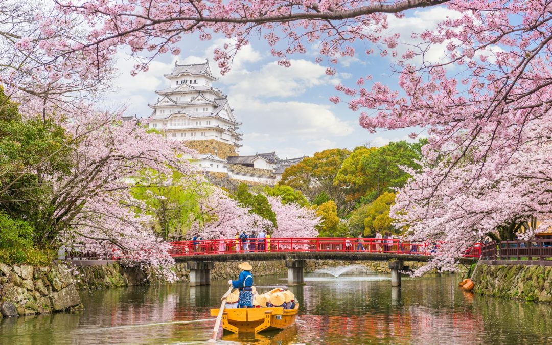 The Enchanting Allure of Japan: A Comprehensive Travel Guide