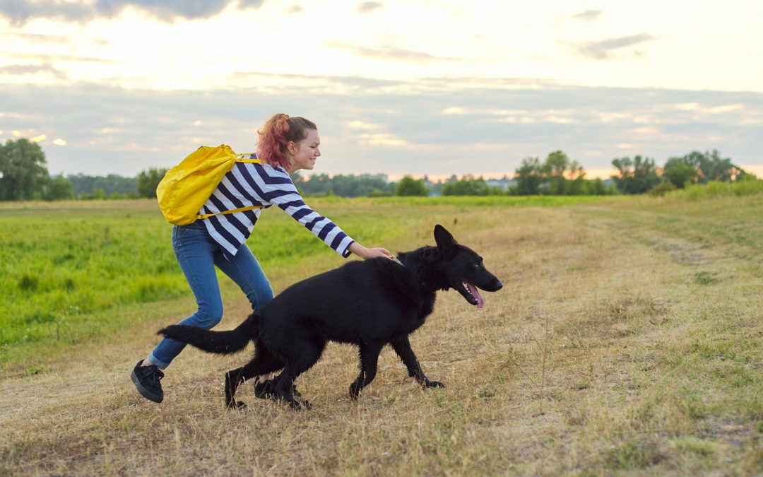 Giants and Minis: The Dynamic Differences Between Big Dogs and Small Dogs