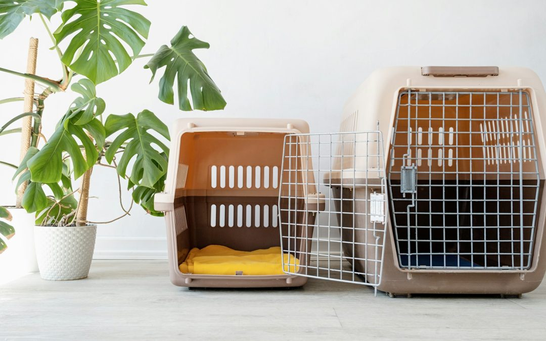 Journey with Joy: Exploring Diverse Pet Carriers and Their Benefits